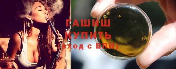хмурый Алексин