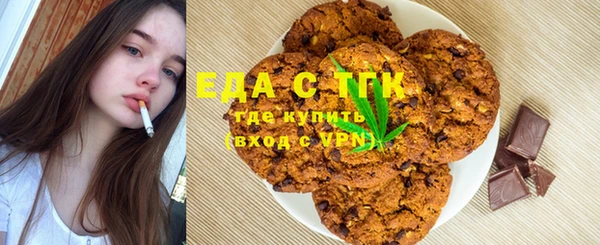хмурый Алексин